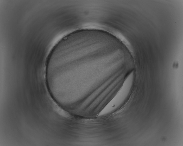 X0000092081376200710101031