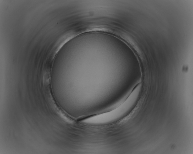 X0000092081377200710101031