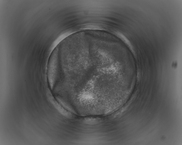 X0000092081378200710101031