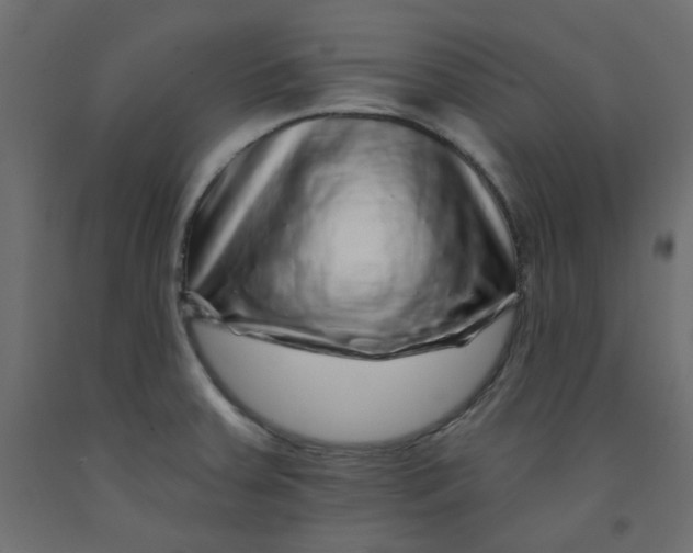 X0000092081379200710101031