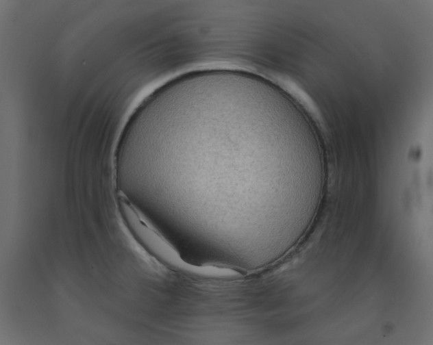 X0000092081380200710101031