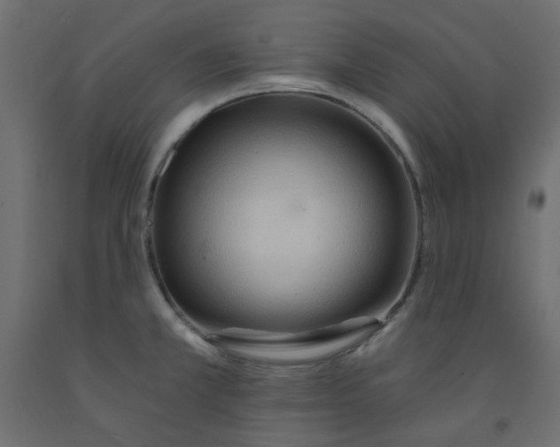 X0000092081381200710101031