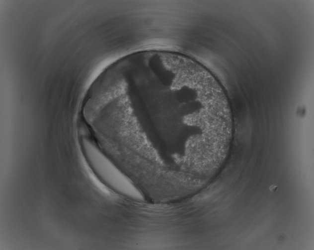 X0000092081383200710101031