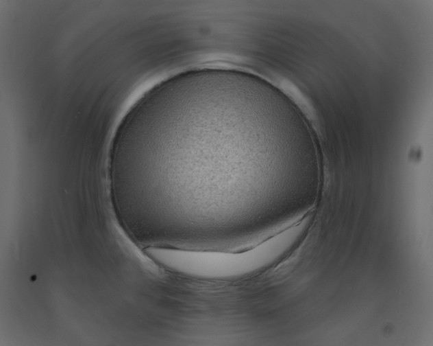 X0000092081384200710101031