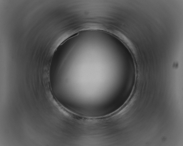 X0000092081385200710101031