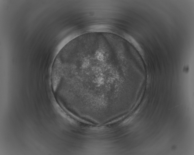 X0000092081386200710101031