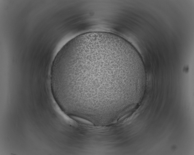 X0000092081387200710101031