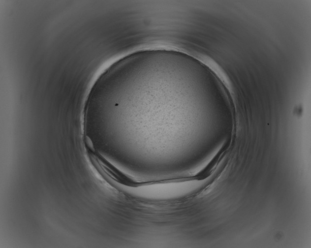 X0000092081388200710101031