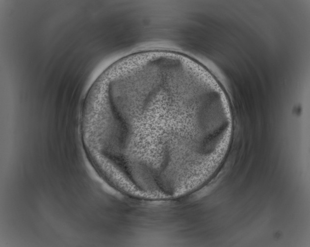 X0000092081390200710101031