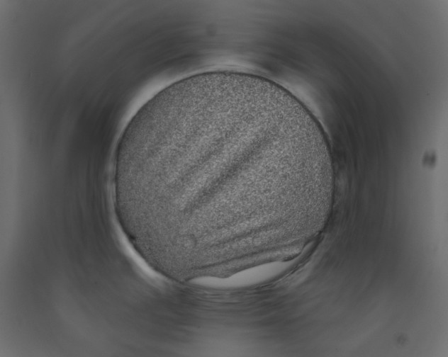 X0000092081391200710101031