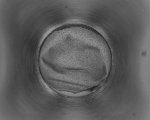 X0000092081392200710101031