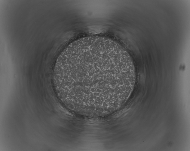 X0000092081393200710101030