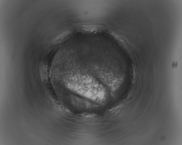 X0000092081394200710101030