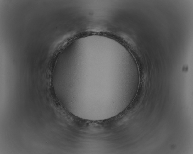 X0000092081398200710101030