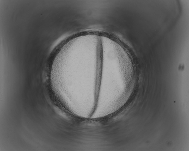 X0000092081400200710101030