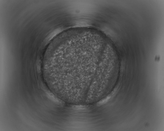 X0000092081401200710101030