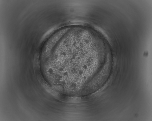 X0000092081403200710101030