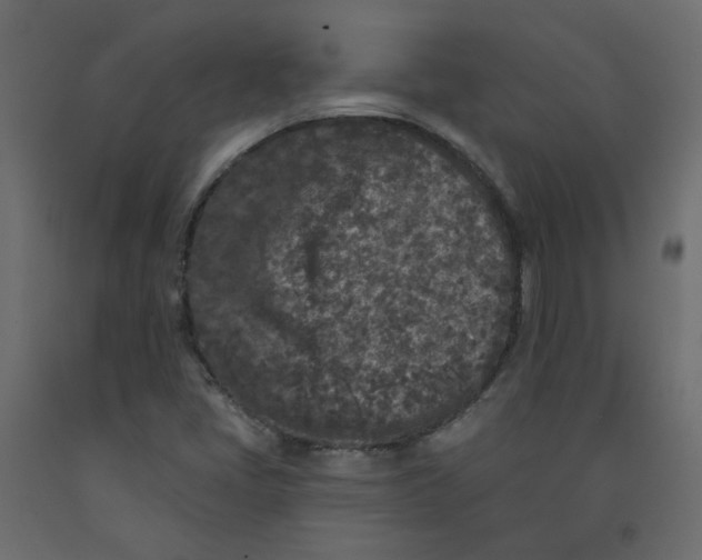 X0000092081405200710101030