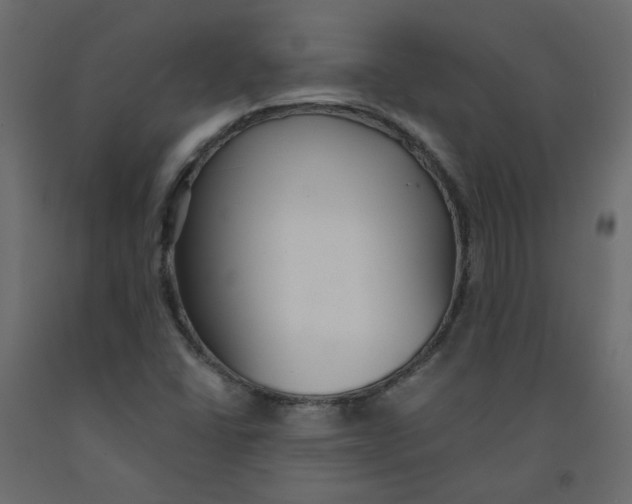 X0000092081406200710101030