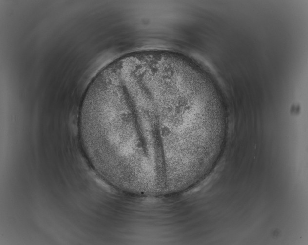 X0000092081409200710101030