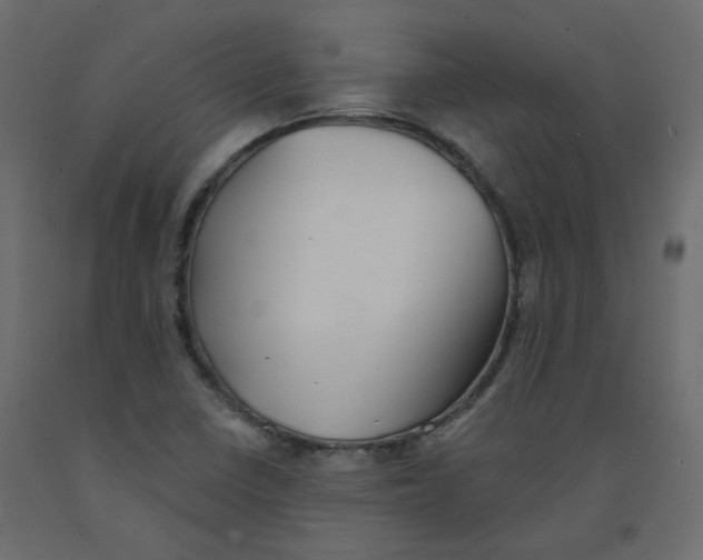 X0000092081410200710101030