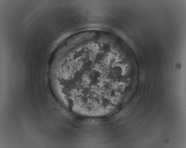 X0000092081411200710101030