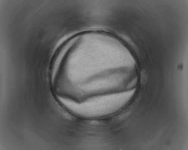 X0000092081412200710101030