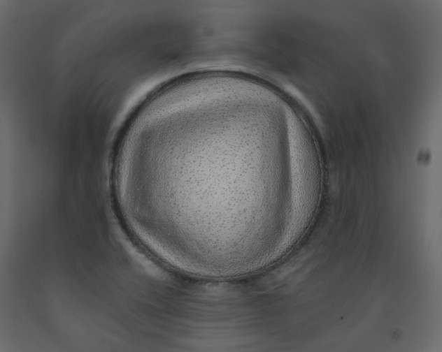 X0000092081416200710101031