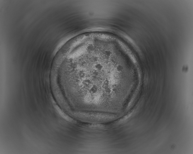 X0000092081417200710101031