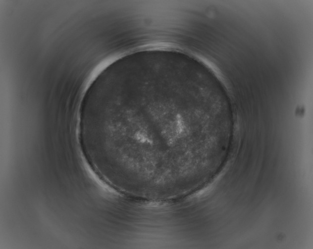 X0000092081418200710101031