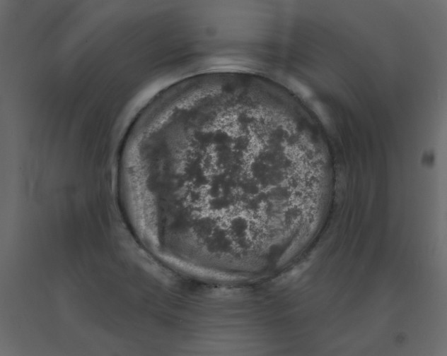 X0000092081419200710101031