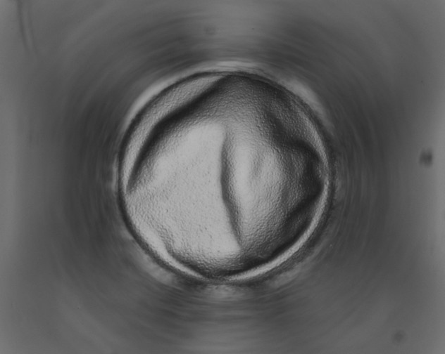 X0000092081420200710101031