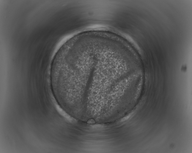 X0000092081421200710101031