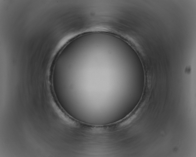 X0000092081422200710101031