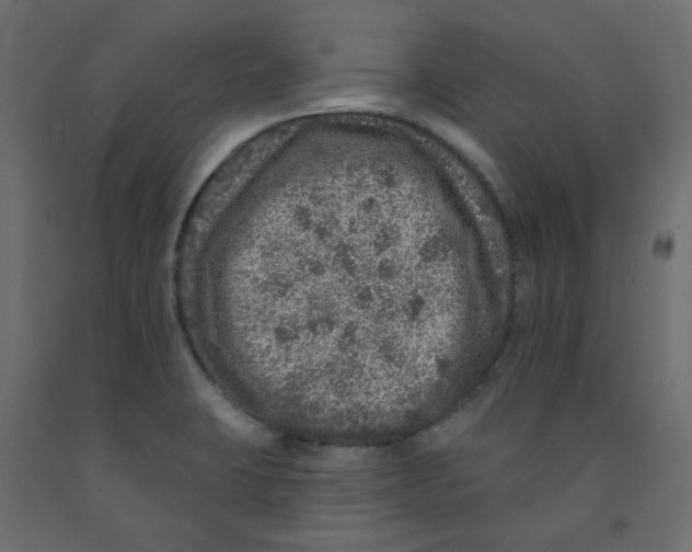 X0000092081423200710101031