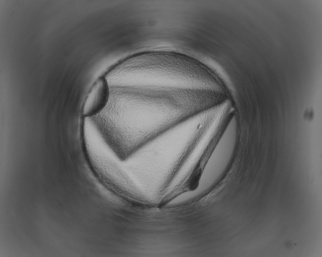 X0000092081424200710101031