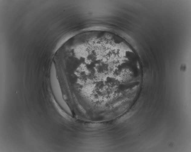 X0000092081425200710101031