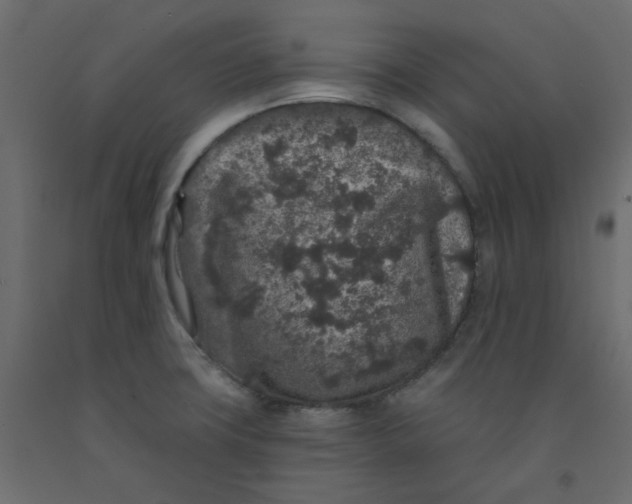 X0000092081427200710101031