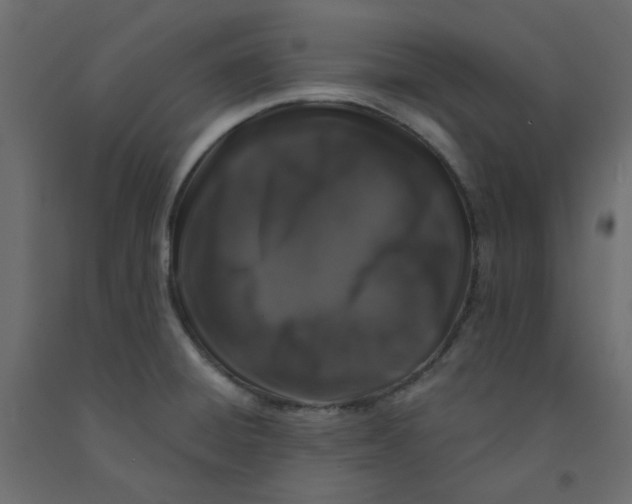 X0000092081428200710101031