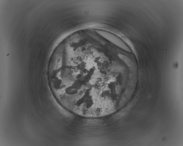 X0000092081429200710101031