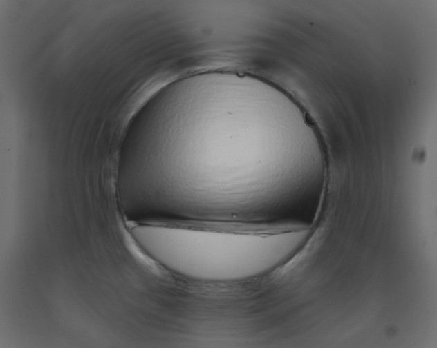 X0000092081433200710101031