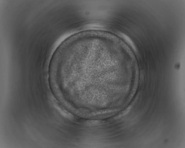 X0000092081435200710101031