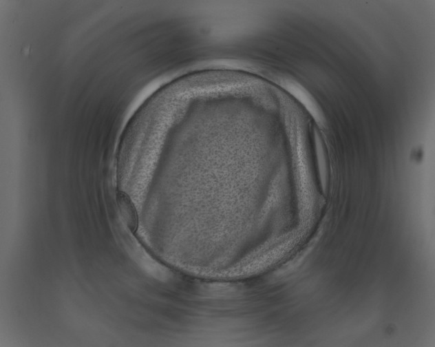 X0000092081436200710101031