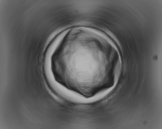 X0000092081437200710101031