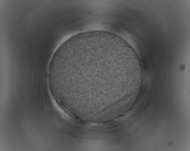 X0000092081439200710101031