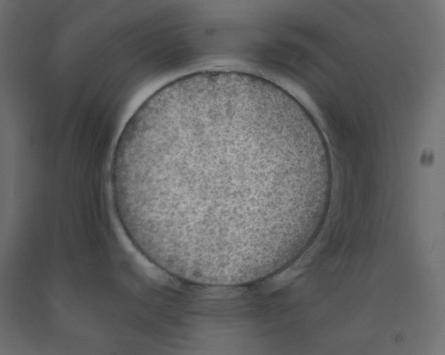 X0000092081440200710101031