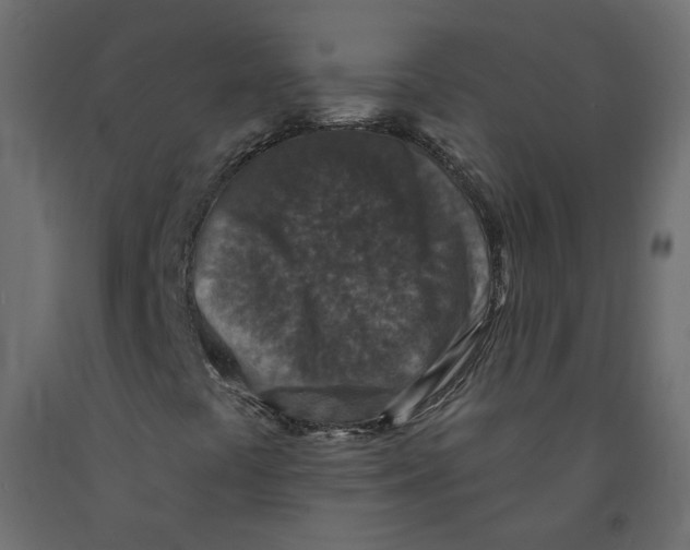 X0000092081441200710101030