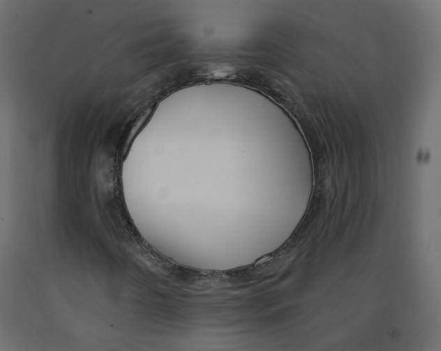 X0000092081442200710101030