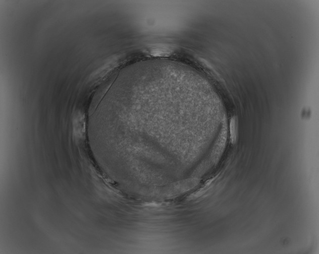 X0000092081443200710101030