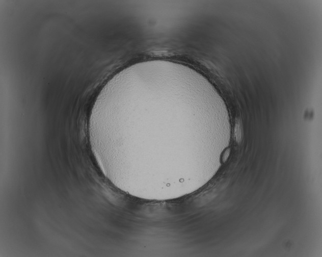 X0000092081444200710101030